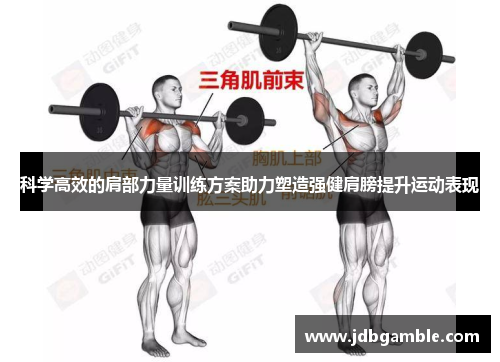 科学高效的肩部力量训练方案助力塑造强健肩膀提升运动表现