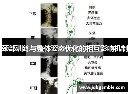 颈部训练与整体姿态优化的相互影响机制